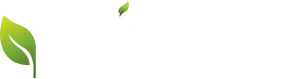 MintMemo.app
